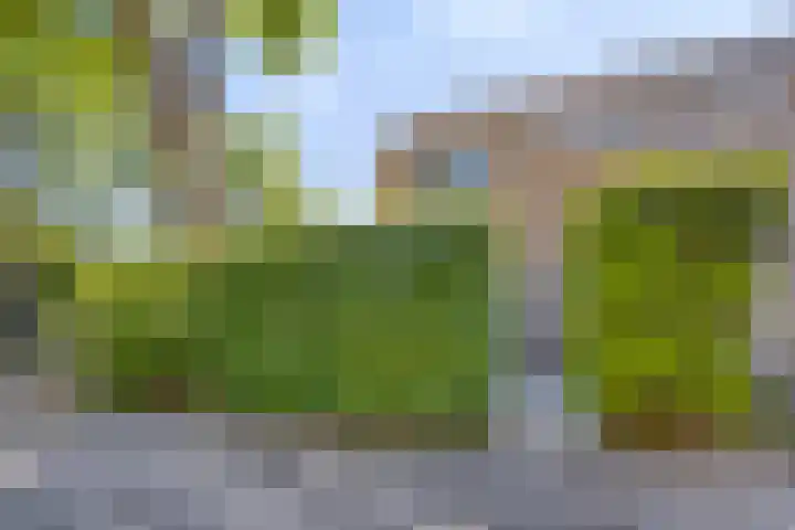 Rietschoot 64 Oostzaan thumbnail 26