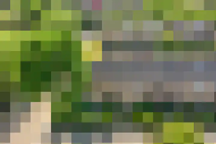 Rietschoot 64 Oostzaan thumbnail 27