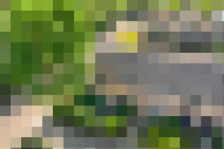 Rietschoot 64 Oostzaan thumbnail 28