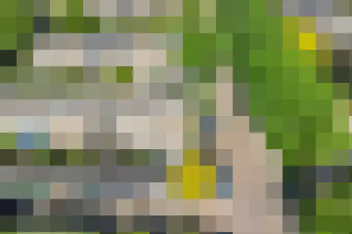 Rietschoot 64 Oostzaan thumbnail 30