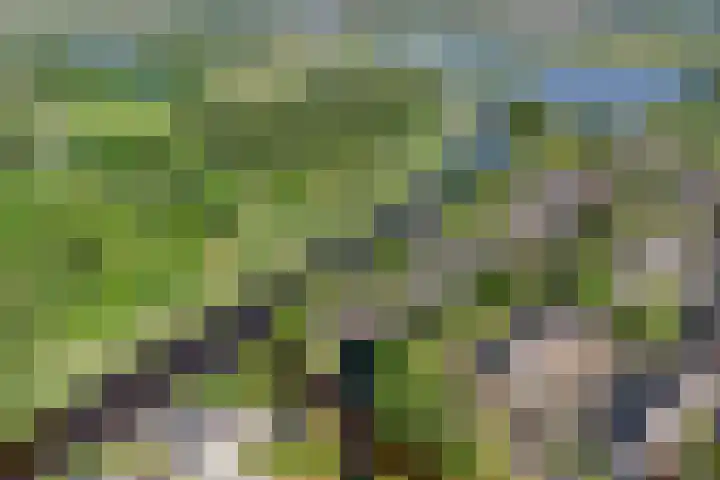 Rietschoot 64 Oostzaan thumbnail 33