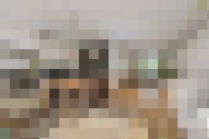 Rietschoot 64 Oostzaan thumbnail 4