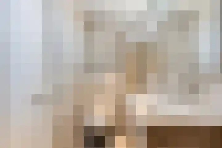 Rietschoot 64 Oostzaan thumbnail 5