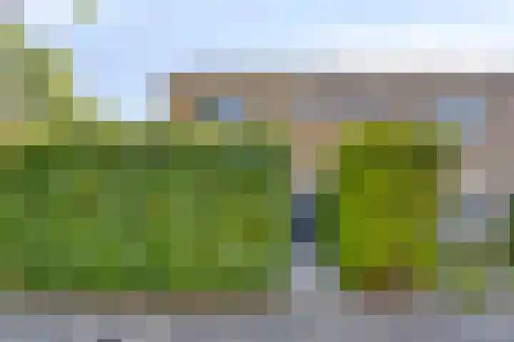 Rietschoot 64 Oostzaan thumbnail 6