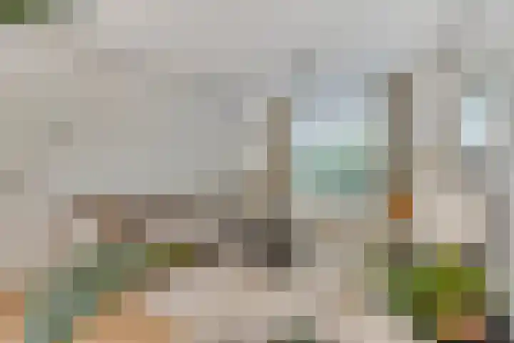 Rietschoot 64 Oostzaan thumbnail 9
