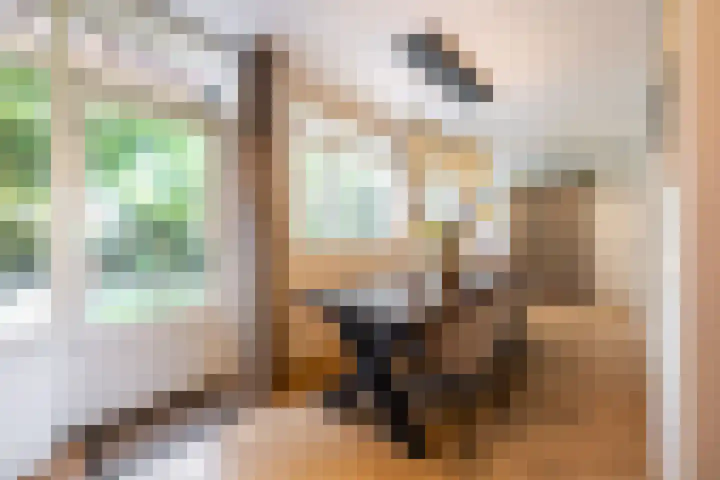 Rietschoot 90 Oostzaan thumbnail 18