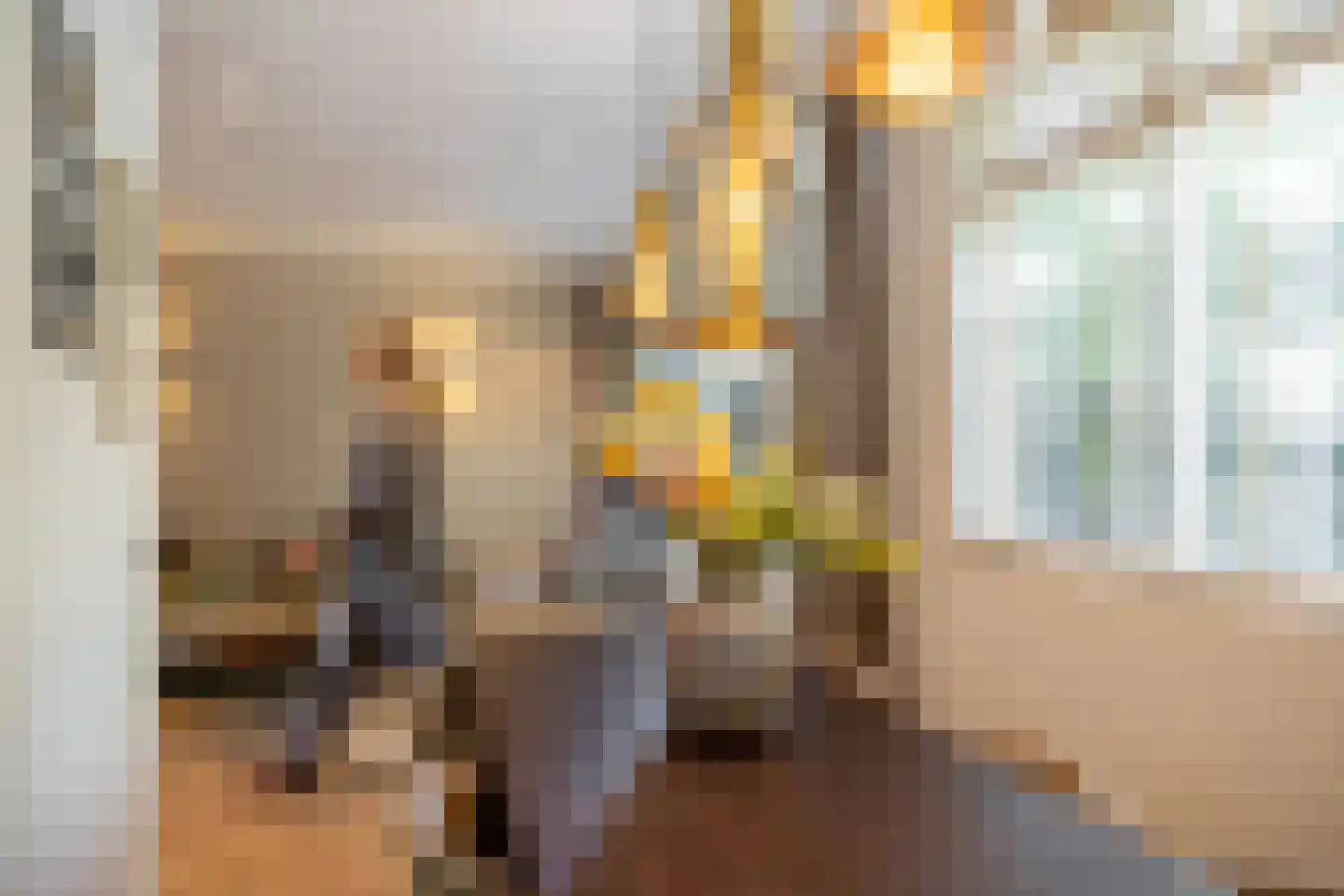 Rietschoot 90 Oostzaan thumbnail 21
