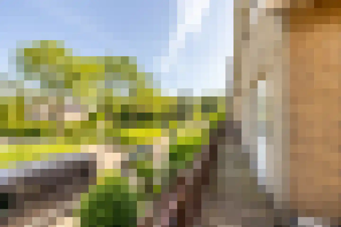Rietschoot 90 Oostzaan thumbnail 26