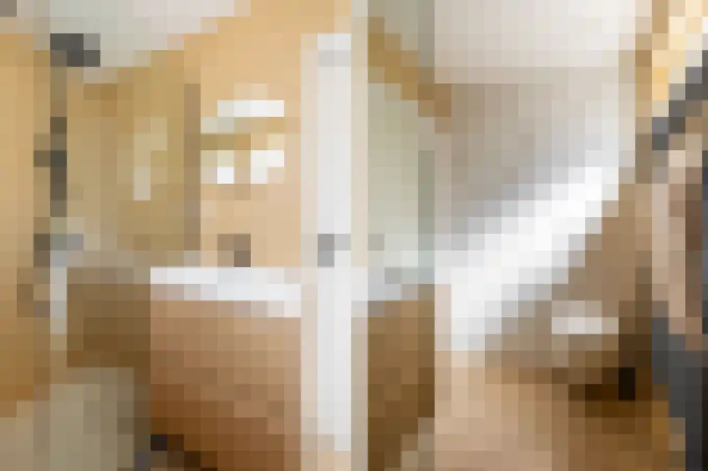 Rietschoot 90 Oostzaan thumbnail 32