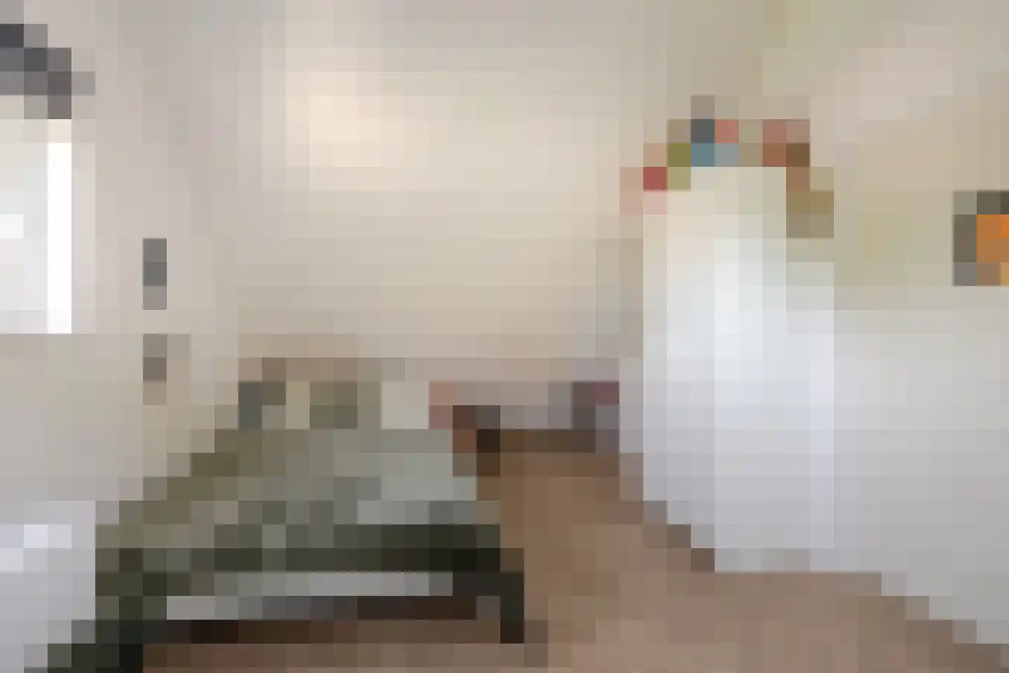 Rietschoot 90 Oostzaan thumbnail 36