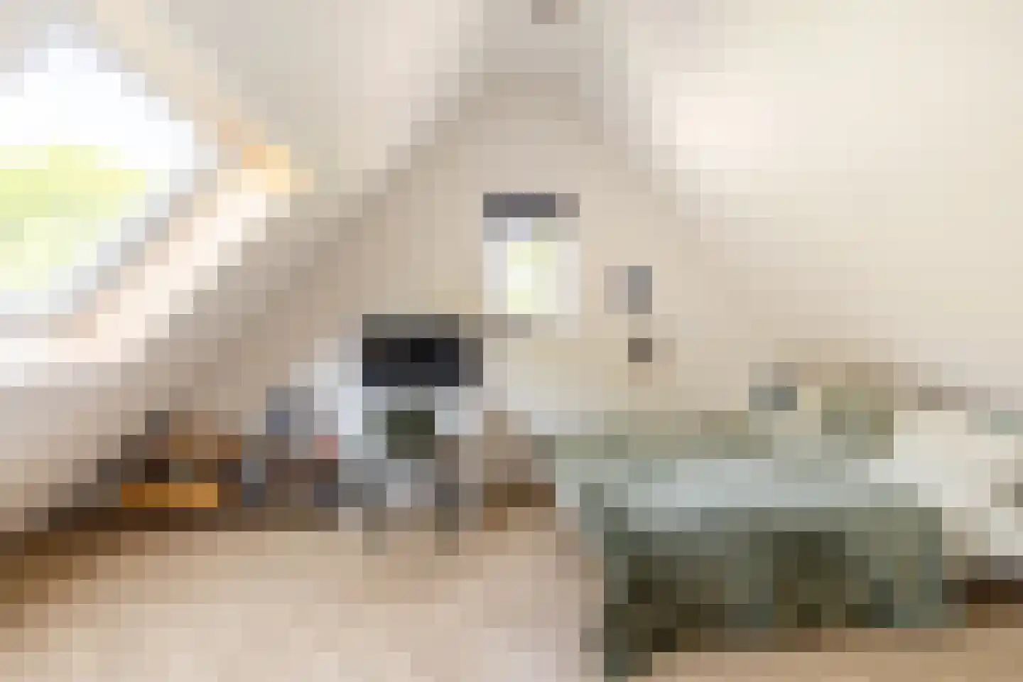 Rietschoot 90 Oostzaan thumbnail 37