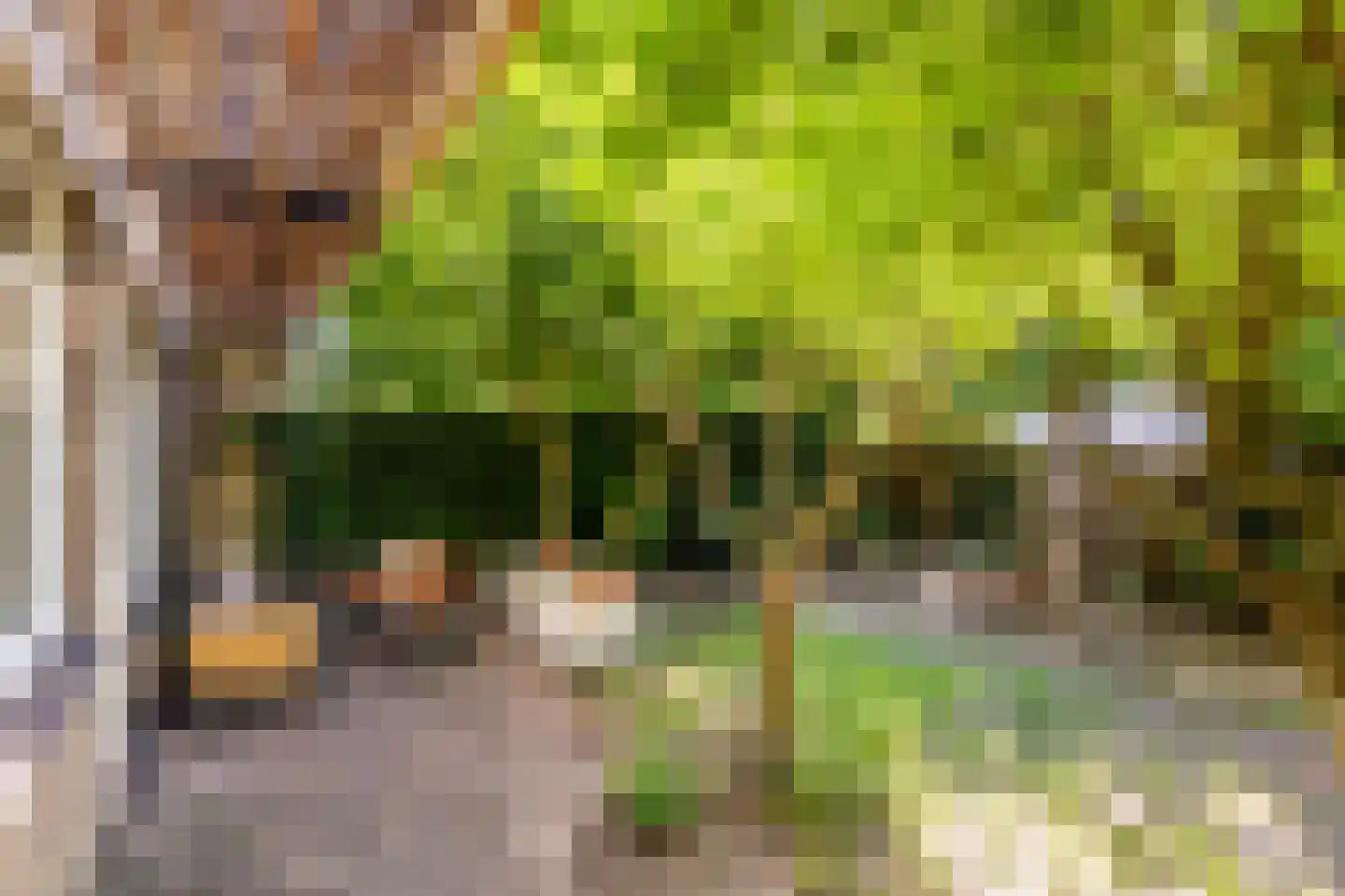 Rietschoot 90 Oostzaan thumbnail 38