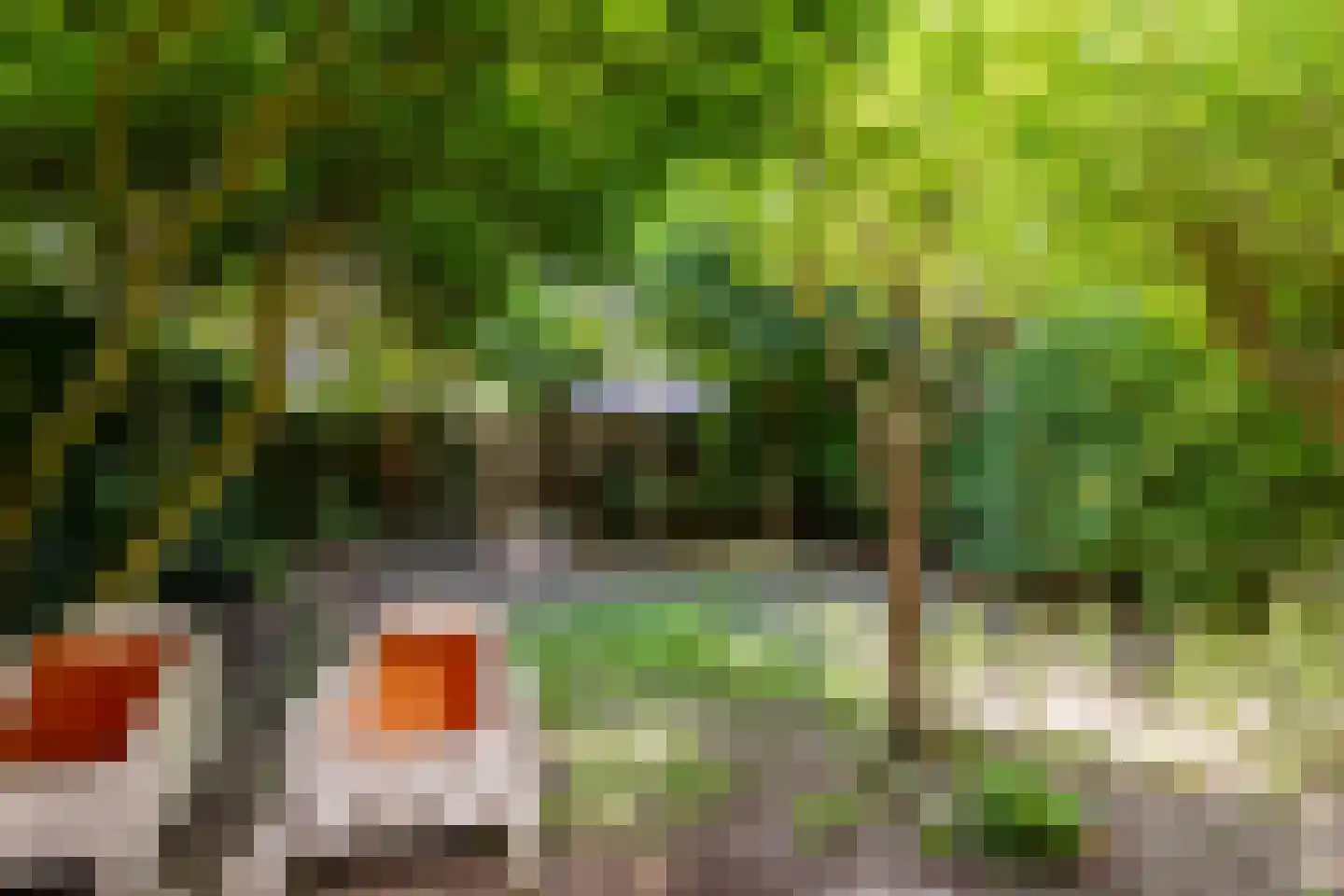 Rietschoot 90 Oostzaan thumbnail 39