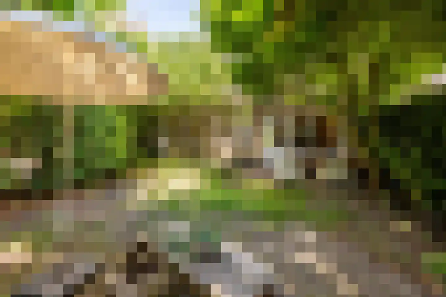 Rietschoot 90 Oostzaan thumbnail 40