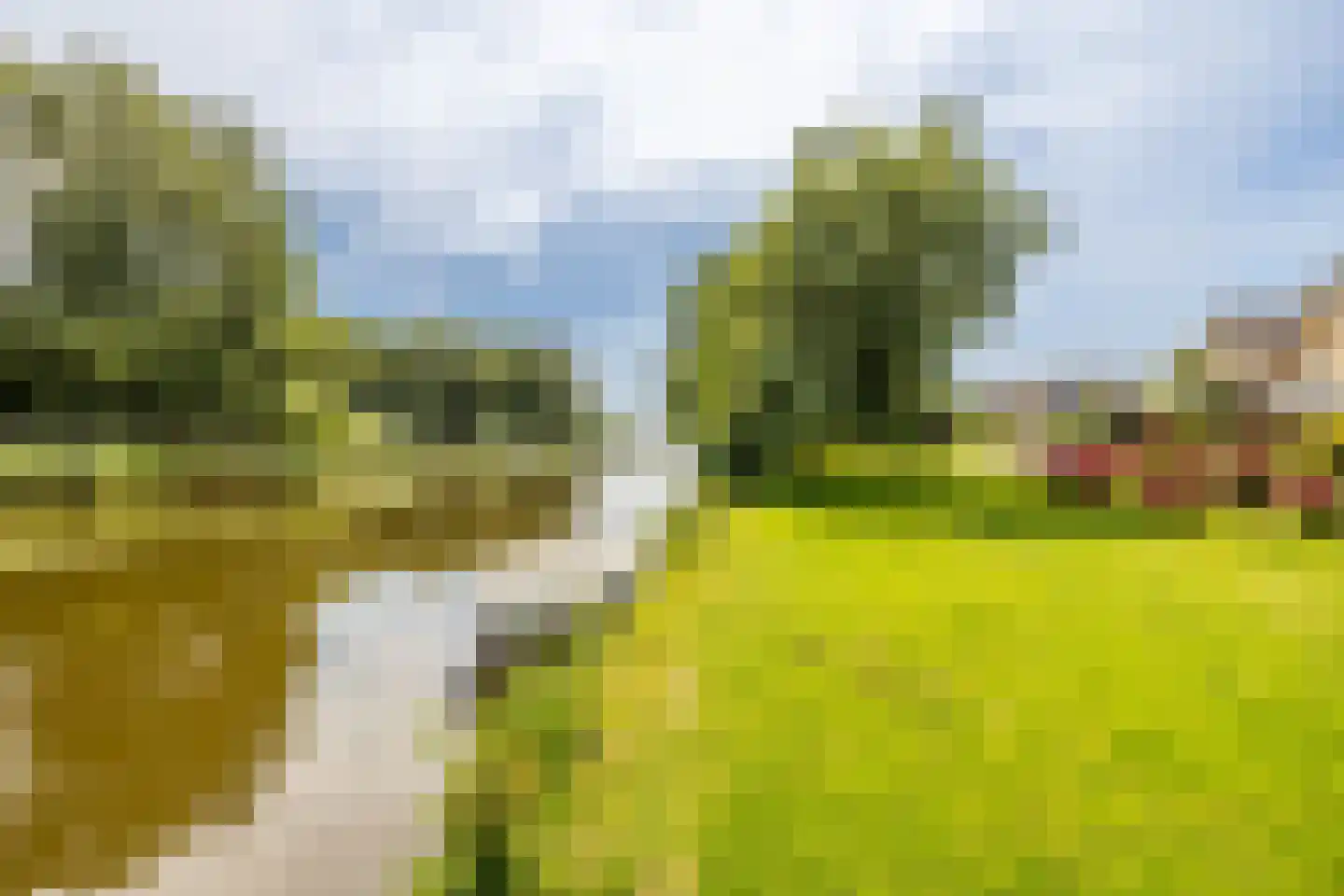 Rietschoot 90 Oostzaan thumbnail 42