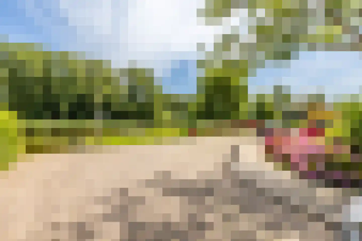 Rietschoot 90 Oostzaan thumbnail 43