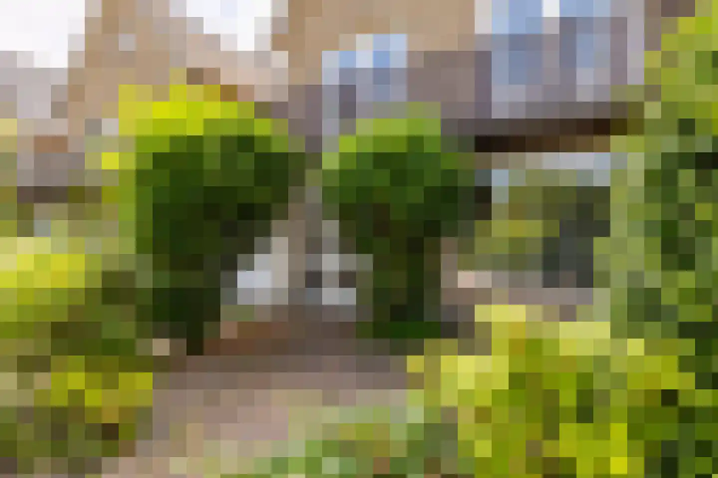 Rietschoot 90 Oostzaan thumbnail 6