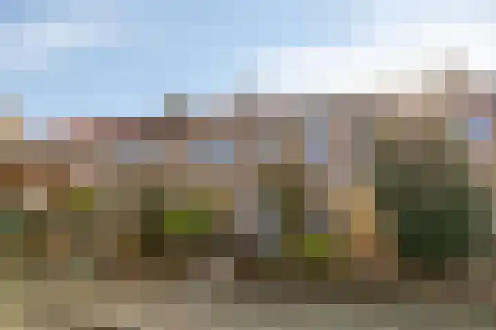 Rietsemalaan 6 Breda