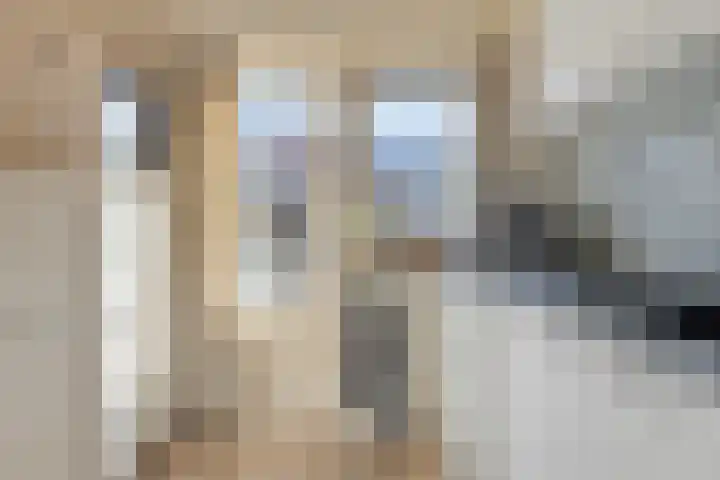 Rietsemalaan 6 Breda thumbnail 12