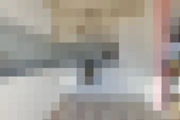 Rietsemalaan 6 Breda thumbnail 13
