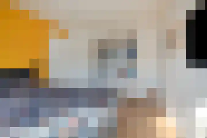 Rietsemalaan 6 Breda thumbnail 20
