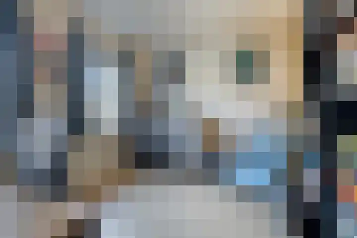 Rietsemalaan 6 Breda thumbnail 24