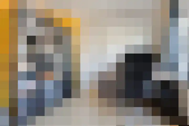 Rietsemalaan 6 Breda thumbnail 25