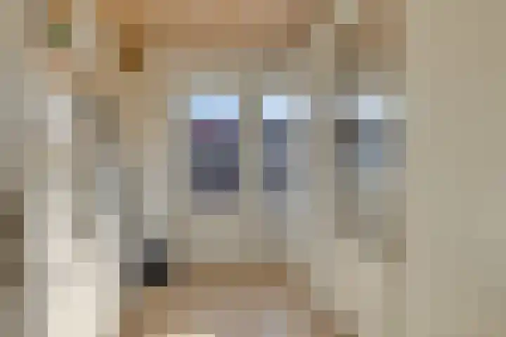 Rietsemalaan 6 Breda thumbnail 26