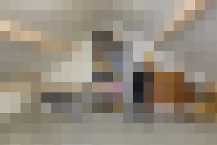 Rietsemalaan 6 Breda thumbnail 32