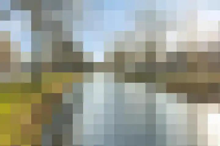 Rietsemalaan 6 Breda thumbnail 37