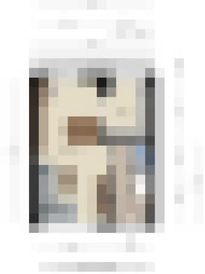 Rietsemalaan 6 Breda thumbnail 38