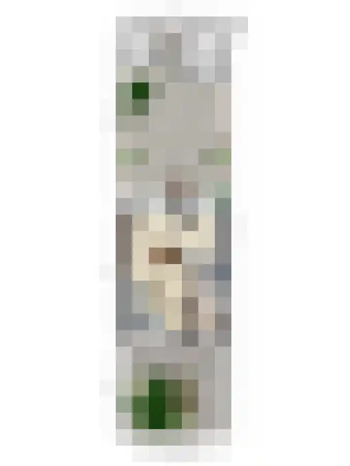 Rietsemalaan 6 Breda thumbnail 39