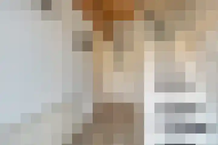 Rietsemalaan 6 Breda thumbnail 4
