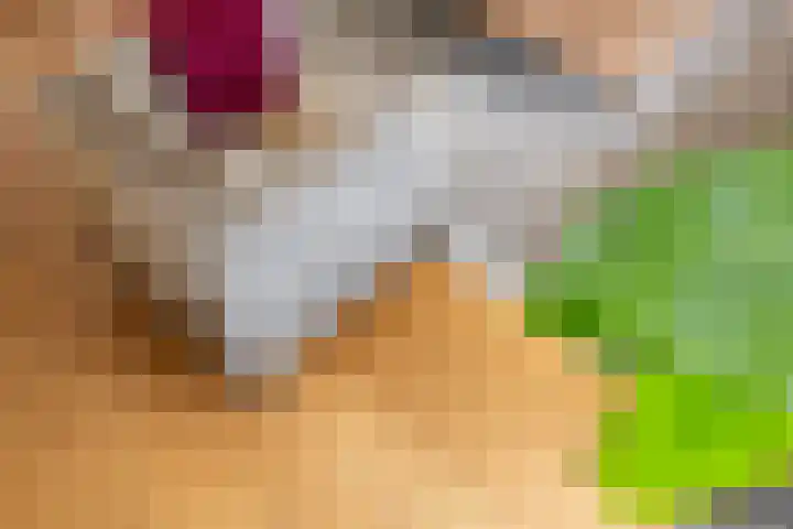 Rietsingel 59 Purmerend thumbnail 13