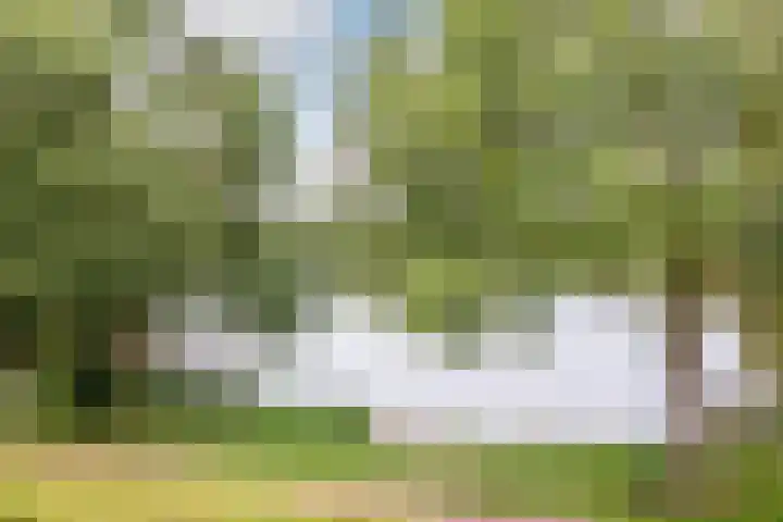 Rietsingel 59 Purmerend thumbnail 37
