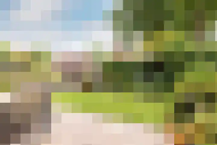 Rietsingel 59 Purmerend thumbnail 39