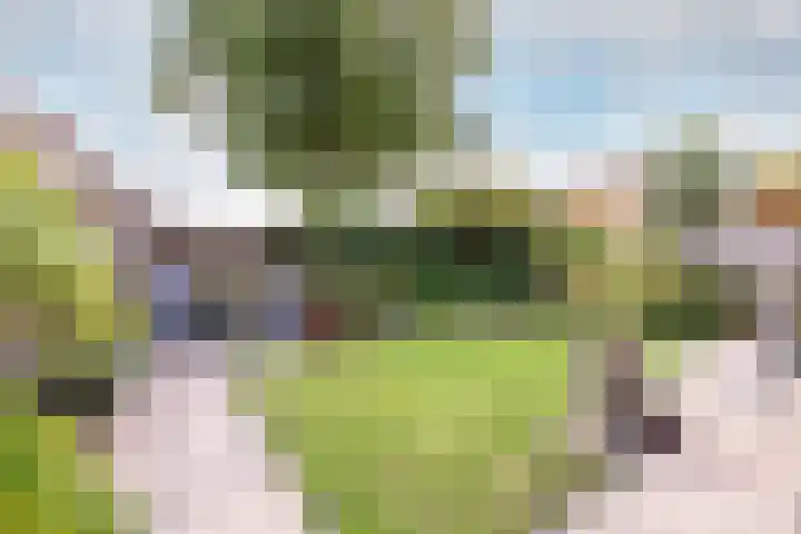 Rietsingel 59 Purmerend thumbnail 40