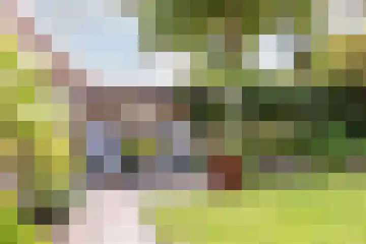 Rietsingel 59 Purmerend thumbnail 41