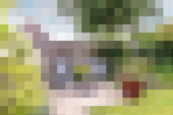 Rietsingel 59 Purmerend thumbnail 42