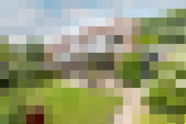 Rietsingel 59 Purmerend thumbnail 44