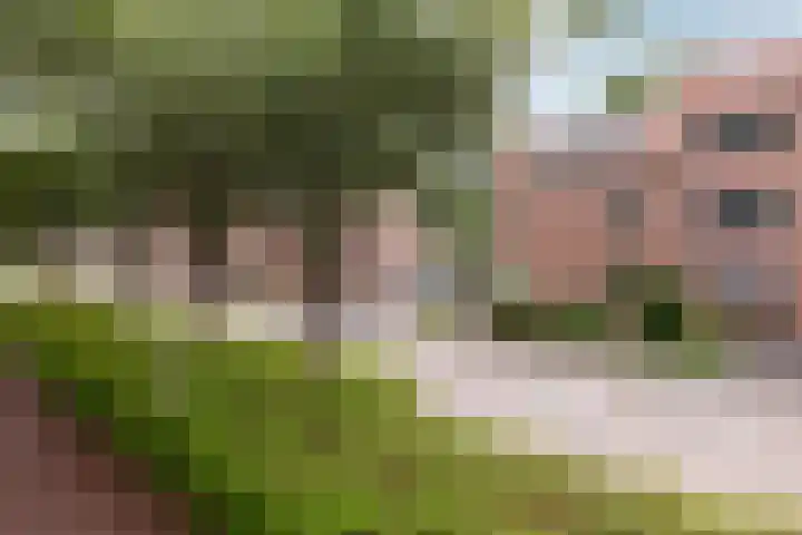 Rietsingel 59 Purmerend thumbnail 47
