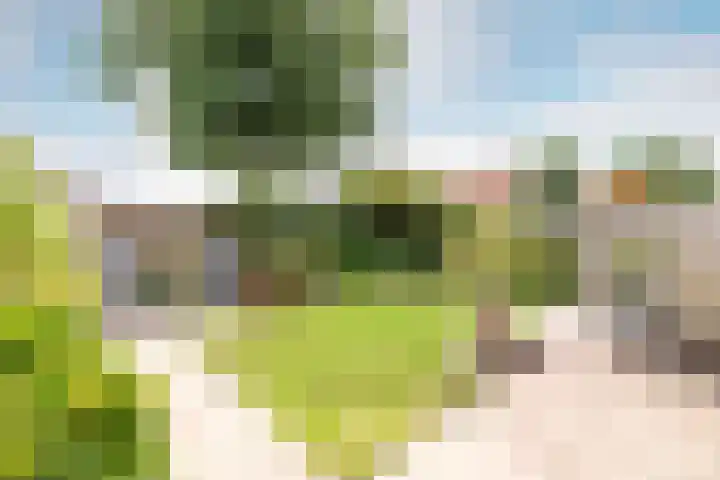 Rietsingel 59 Purmerend thumbnail 5