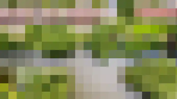 Rietsingel 59 Purmerend thumbnail 54