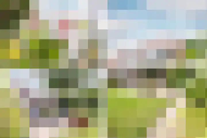 Rietsingel 59 Purmerend thumbnail 6