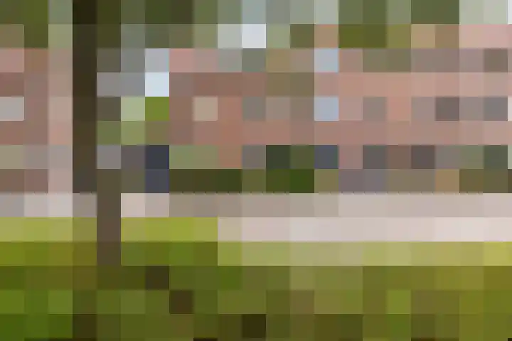 Rietsingel 59 Purmerend thumbnail 7