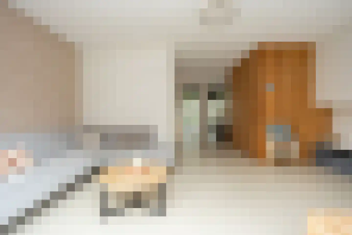 Rietsingel 7 Pijnacker thumbnail 18