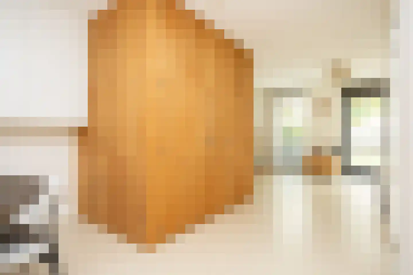 Rietsingel 7 Pijnacker thumbnail 21