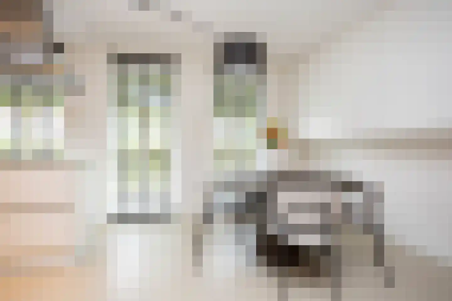 Rietsingel 7 Pijnacker thumbnail 23