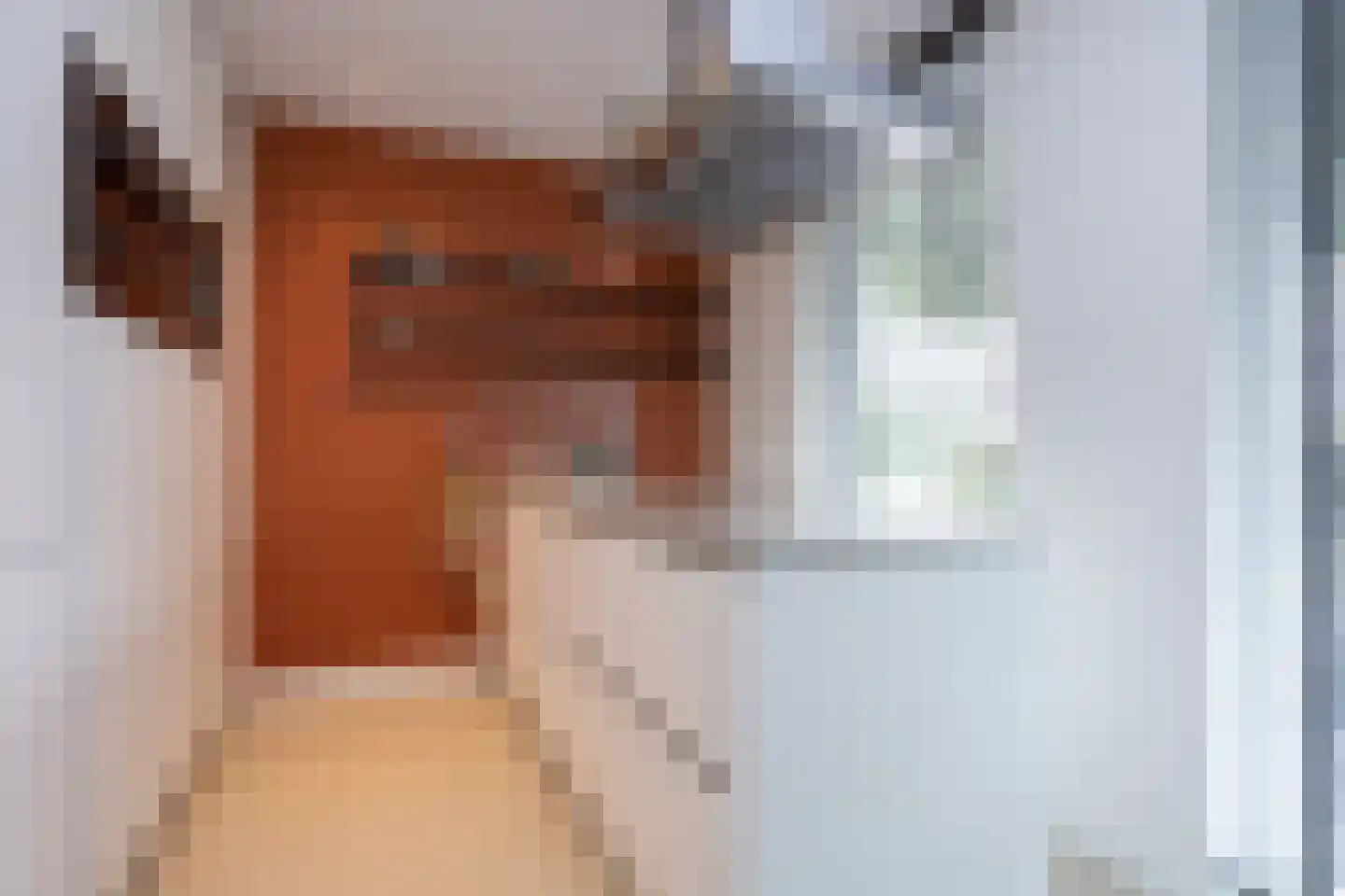Rietsingel 7 Pijnacker thumbnail 26