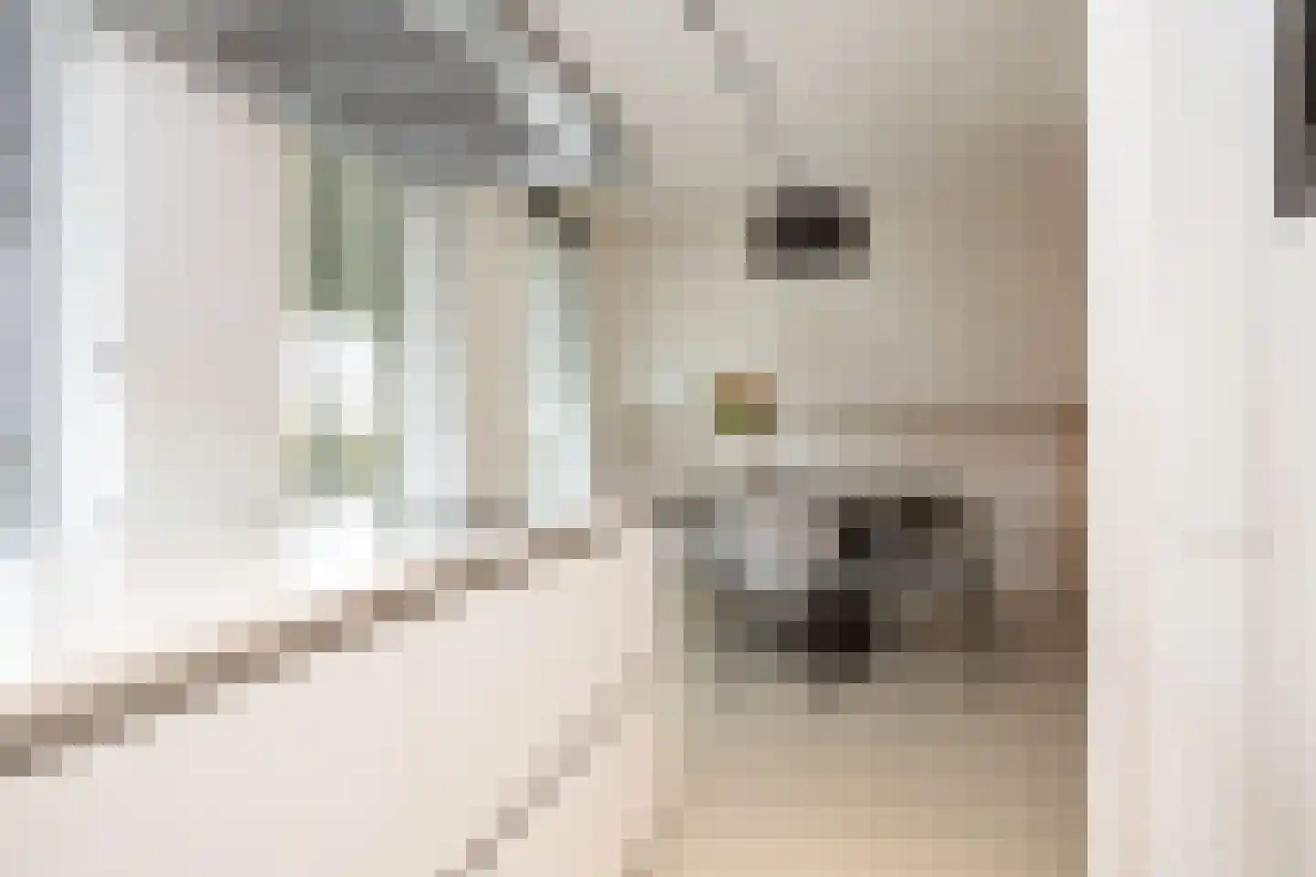 Rietsingel 7 Pijnacker thumbnail 31
